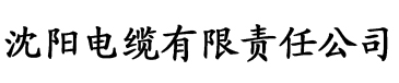 国产V亚洲V天堂a无码久久电缆厂logo